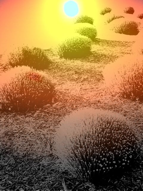 sea desert